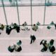 Ermittelt: 17 Berufsgruppen die für einen Private Banker besonders interessant sind!
