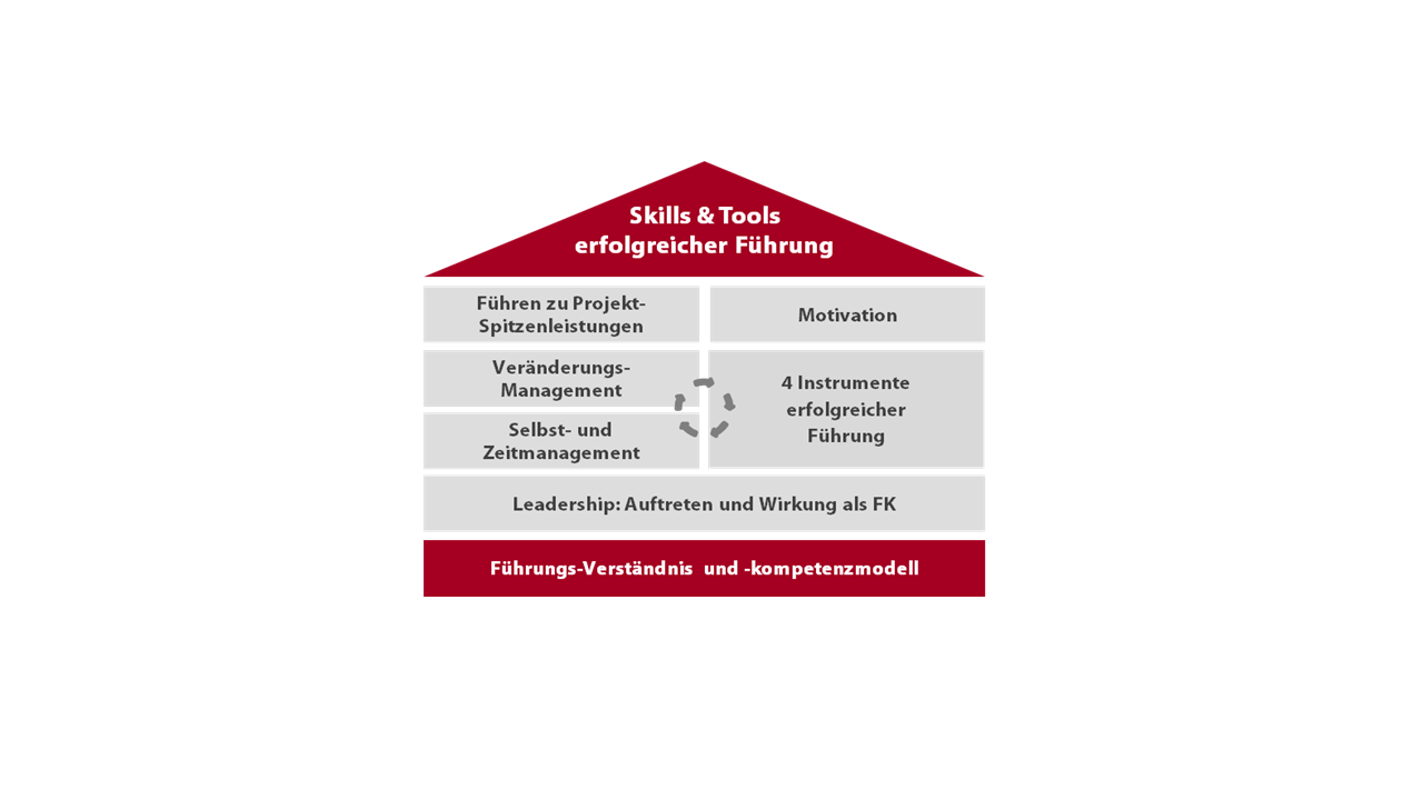 Skills und Tools erfolgreicher Führung Führungsinstrumente professionell anwenden