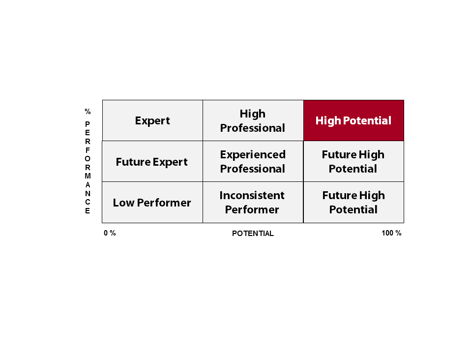 Training für High Potentials Führungskräfte von morgen schon heute führen