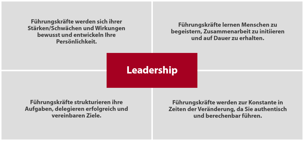 Leadership Curriculum Führungstraining Verkaufstraining Vertriebstraining Alexander Verweyen