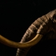 Was wir aus einem Mammut-Projekt gelernt haben