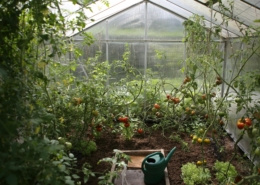 Leichen im Garten?