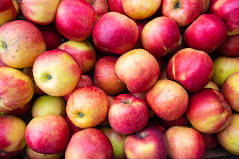 10 Dollar in der Tasche