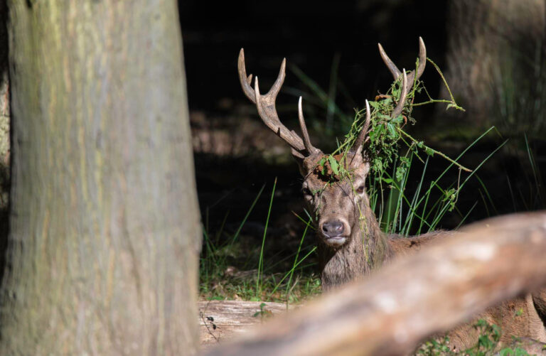 Der Jagdinstinkt nach neuen Kunden